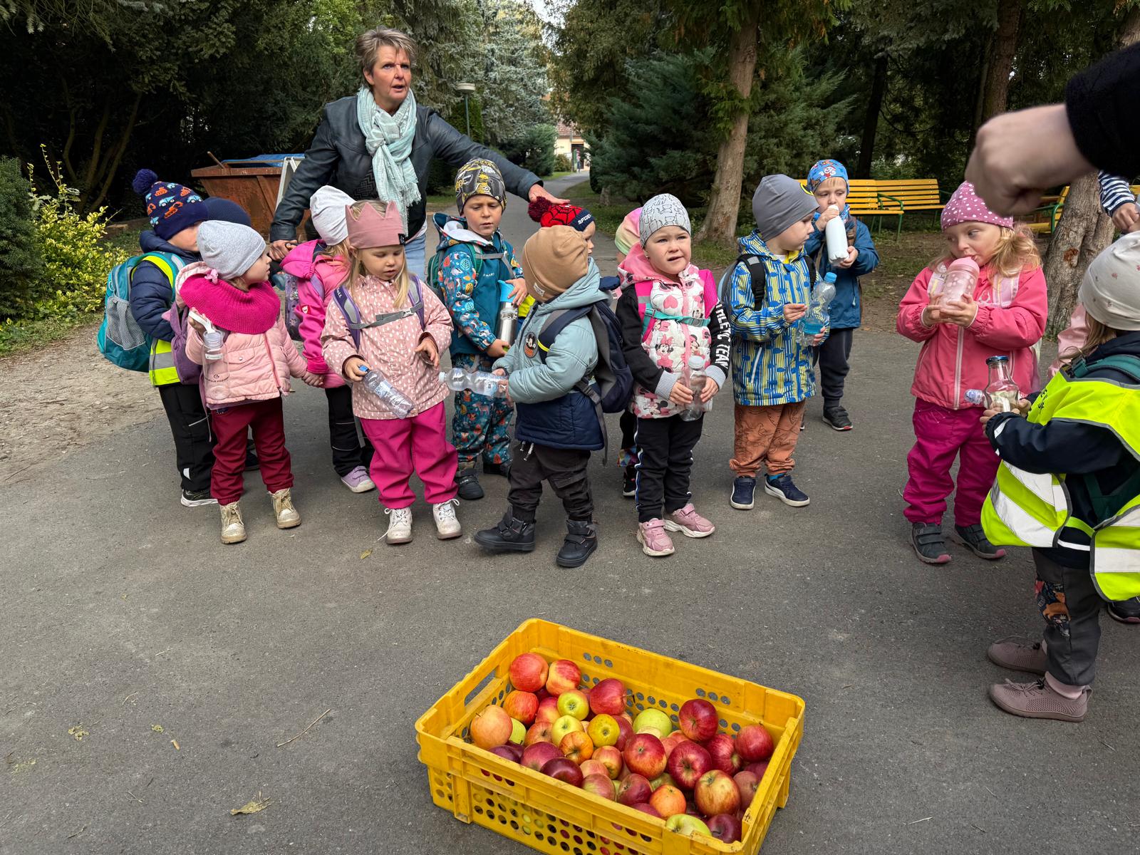 WhatsApp Image 2025-10-03 at 19.04.40.jpeg